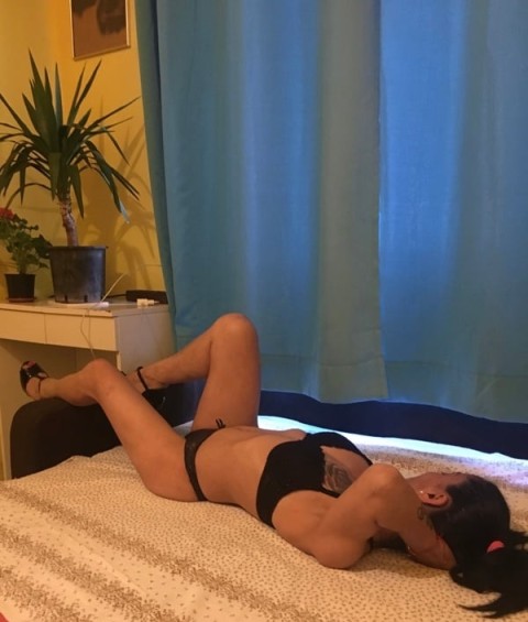 Curve filipestii de padure